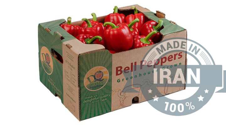 High-Quality Iranian Bell Peppers 8 Iranian Bell Peppers are renowned for their vibrant colors, sweet taste, and exceptional quality. Grown in state-of-the-art greenhouses using advanced agricultural techniques, these bell peppers are a popular choice for both domestic and international markets.