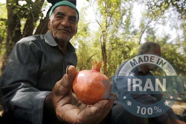 Reliable Pomegranates Manufacturers & Suppliers in Iran: Bulk Orders Welcome 3 Order Your Bulk Pomegranates Today!