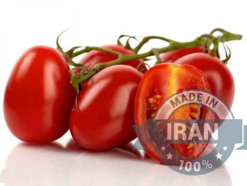 Export-Quality Tomatoes from Iran