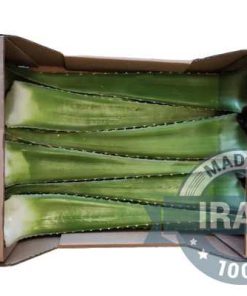 Alternative view of Organic Aloe Vera Leaf
