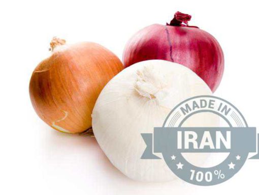 Premium Iranian Onions