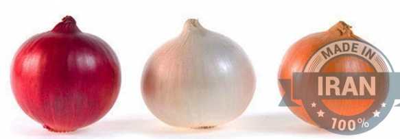 Grade A Iranian Onions