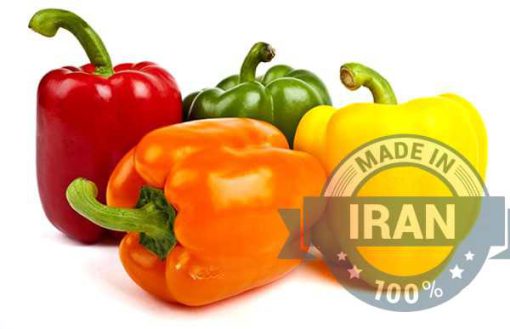 High-Quality Iranian Bell Peppers