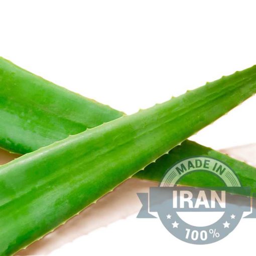Organic Aloe Vera Leaf