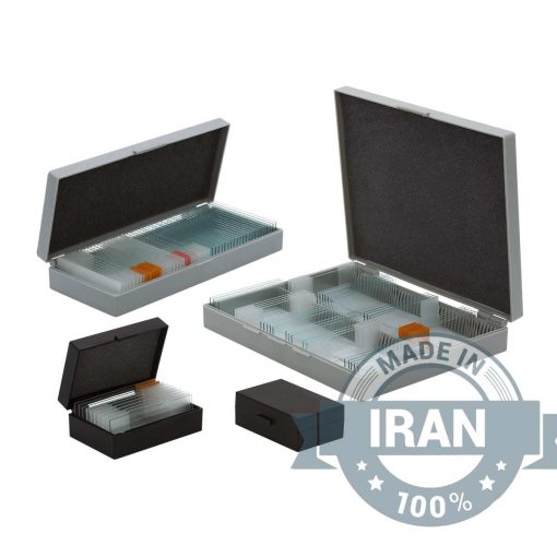 Slide Storage Box