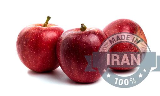 Premium Red Apples for Global Markets