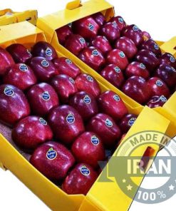 Alternative view of Premium Red Apples for Global Markets