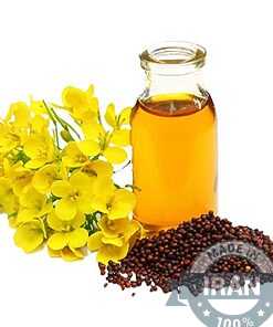 iran wholesale market 39 Canola Oil (Rapeseed Oil) – Premium Edible Cooking Oil