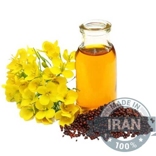Canola Oil (Rapeseed Oil) – Premium Edible Cooking Oil